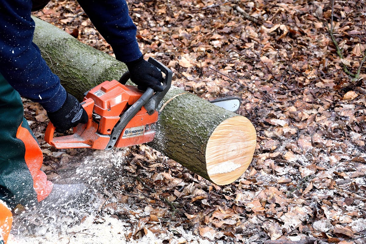 Toolbox Talk: Chainsaw Safety​